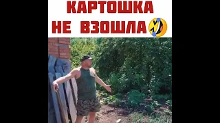 КАРТОШКА НЕ ВЗОШЛА🤣