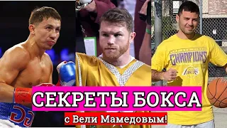 Головкин vs Мурата, Канело vs Макабу, Петрос Ананян, работа в США - Анализируем с Вели Мамедовым!