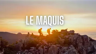 Tibo Rando - Le maquis (Clip Officiel)