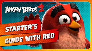 Angry Birds 2: The Ultimate Beginner's Guide to Bird-Slinging Mastery!