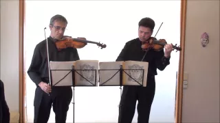 Bach: concerto for Two Violins in D minor BWV 1043