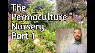 The Permaculture Nursery - Part 1 - Overview and Integration