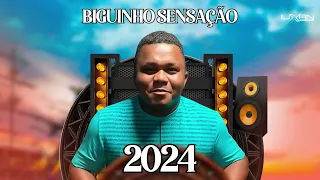 BIGUINHO SENSAÇÃO ( CD JANEIRO 2024 SINTONIA DO ARROCHA SÓ PEDRADA ).