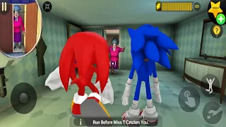 Play as Sonic the Hedgehog and Knuckles in Scary Teacher 3D | Troll Miss T Every Day Gameplay Mod