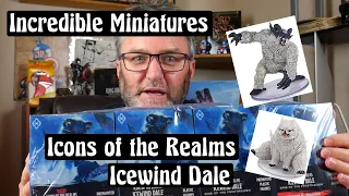Pre painted miniatures - Icewind Dale - review and unboxing.