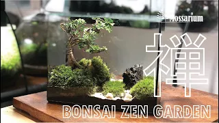 How to make a Terrarium: Bonsai Zen Garden DIY pack
