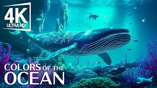The Best 4K Aquarium 🐠 24 Hours of Beautiful Coral Reef Fish - Sleep Relax Meditation Music #3