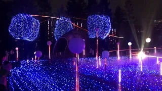 Tokyo Midtown 2018 Christmas Illumination