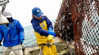 A Young Japanese Female Fisherman and Her Mentor Bottom Trawling