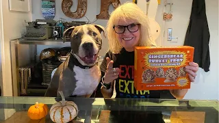 NYC LIVE Decorating Thanksgiving Cookies with our dog Hudson on November 23, 2021