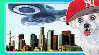 Giant Fidget Spinner Alien Invasion - Reacting to Buttered Side Down by@ChopsicleTheDog