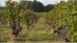 Le Pays Bordelais - Les carnets de Julie