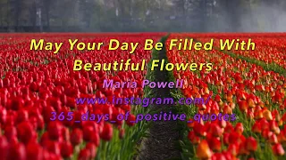 Quotes About A Field Of Flowers - Day 129 - 9 May - 365 Days Inspirational Videos - Instagram