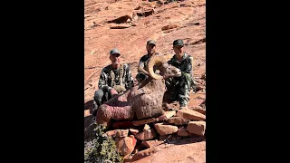 Trailer: Desert Big Horn Sheep Hunt 2022 Henry Mountains (Once in a lifetime) FULL MOVIE COMING SOON