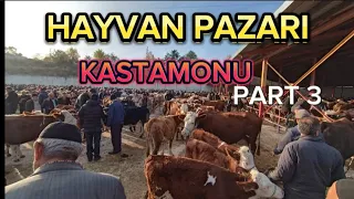 SON BÖLÜM !!! KASTAMONU HAYVAN PAZARI GÜNCEL FİYATLAR 29 EKİM 2023