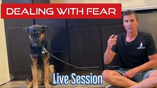 Learn how to work a fearful dog and train a solid name command