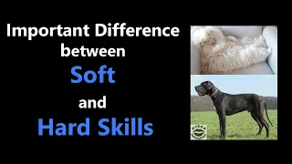 The Real Difference between Soft and Hard Skills and Why It's Important