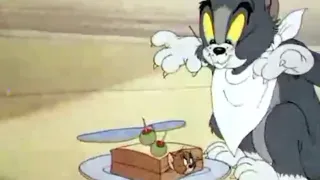 Tom and Jerry Reversed Episode (The Zoot Cat)