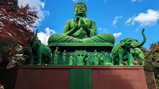 鮮やかな緑色の名古屋大仏の桃厳寺（とうがんじ）を「ぶらヒロシ」