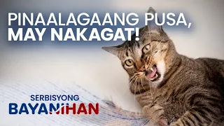 Sino ang dapat magbayad ng danyos sa pusang nakakagat?