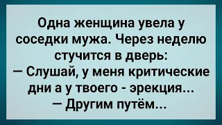 Увела у Соседки Мужа и Пожалела! Сборник Свежих Анекдотов! Юмор!