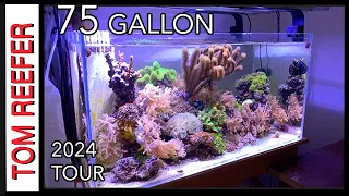 Reef Tank (75 GALLON - TANK TOUR 2024 - SET UP TIPS )