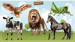 Discover the Fascinating World of Animal Sounds: Grasshopper, Horse, Lion, Cow, Owl