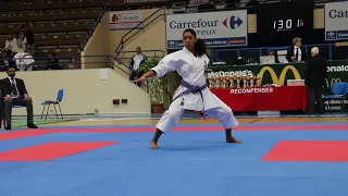 Gekisai Sho by Sempai Elodie Kron (Kata Kyokushin)