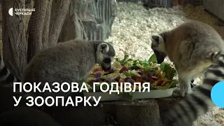 М’ясо, фрукти, овочі та квіти: як годують тварин у черкаському зоопарку