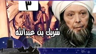 قضاة عظماء: شريك بن عبدالله النخعي جـ3