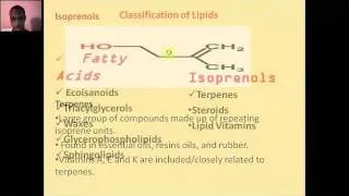 Lipids 5.wmv