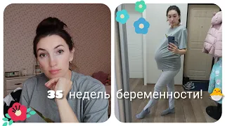 35 недель беременности🐣🌼 Третья беременность 🤰Роды 2021