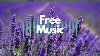 Tatsunoshin - Lost My Love - Hardstyle - NCS - Copyright Free Music Freemusic4u - No Copyright 1213