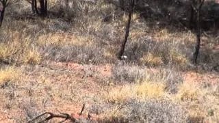 Alice Springs Natural Terrain rd 3