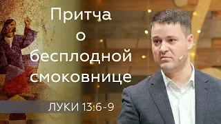 Притча о бесплодной смоковнице - Михаил Черенков - Луки 13:6-9