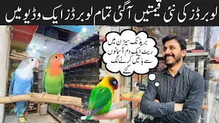 Love Birds Price in 2023-2024 | love Birds Prices in Pakistan leatest | leatest love birds prices