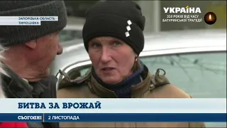 На Запоріжжі селяни намагаються повернути власні ділянки, котрі віддали місцевому фермеру