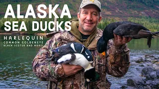 Alaska Wildfowl Adventures - Harlequin, Barrow's / Common Goldeneye, Black Scoter Sea Duck Hunting