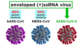 MERS-CoV and SARS-CoV-2 (COVID-19)