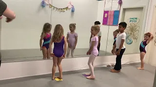 Swan dance ballet fundamentals