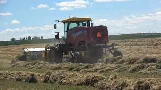 ROC merger RT 840 with New Holland swather in Alfalfa field in Oregon US  by Joe Pelzer