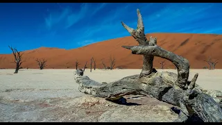 Namibia, dove le dune incontrano l'oceano