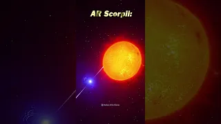 The Rarest Binary Star System: AR Scorpii, The White Dwarf Pulsar