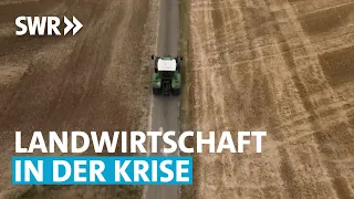 Was machen Wetterextreme mit den Landwirten? Zur Sache! Baden-Württemberg