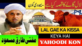 Lal Gae Ka Kissa Keya Hai | Yahoodi Kon Hain | Mufti Tariq Masood Bayan | #islamic