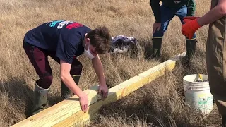 Barn owl nest installation