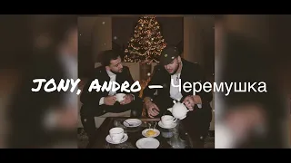 Andro feat. JONY — Черемушка (текст песни, караоке)