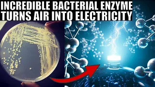 Groundbreaking Bacterial Enzyme That Generates Electricity From Air