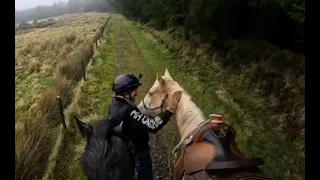 He's only 3 years old! look at this horse's 2nd ride out!!