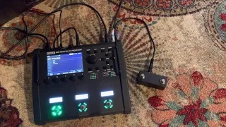 Fractal Audio FM3 - External Switch To Access Tuner & Scenes View